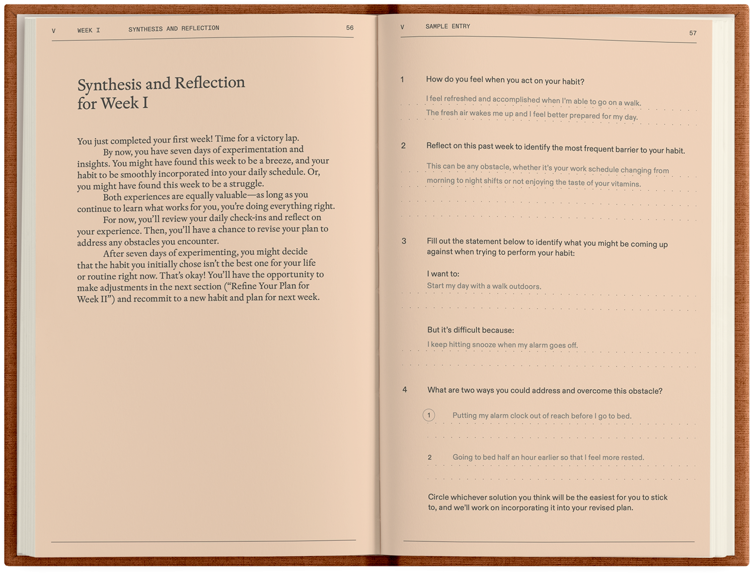 Synthesis and Reflection for Week 1