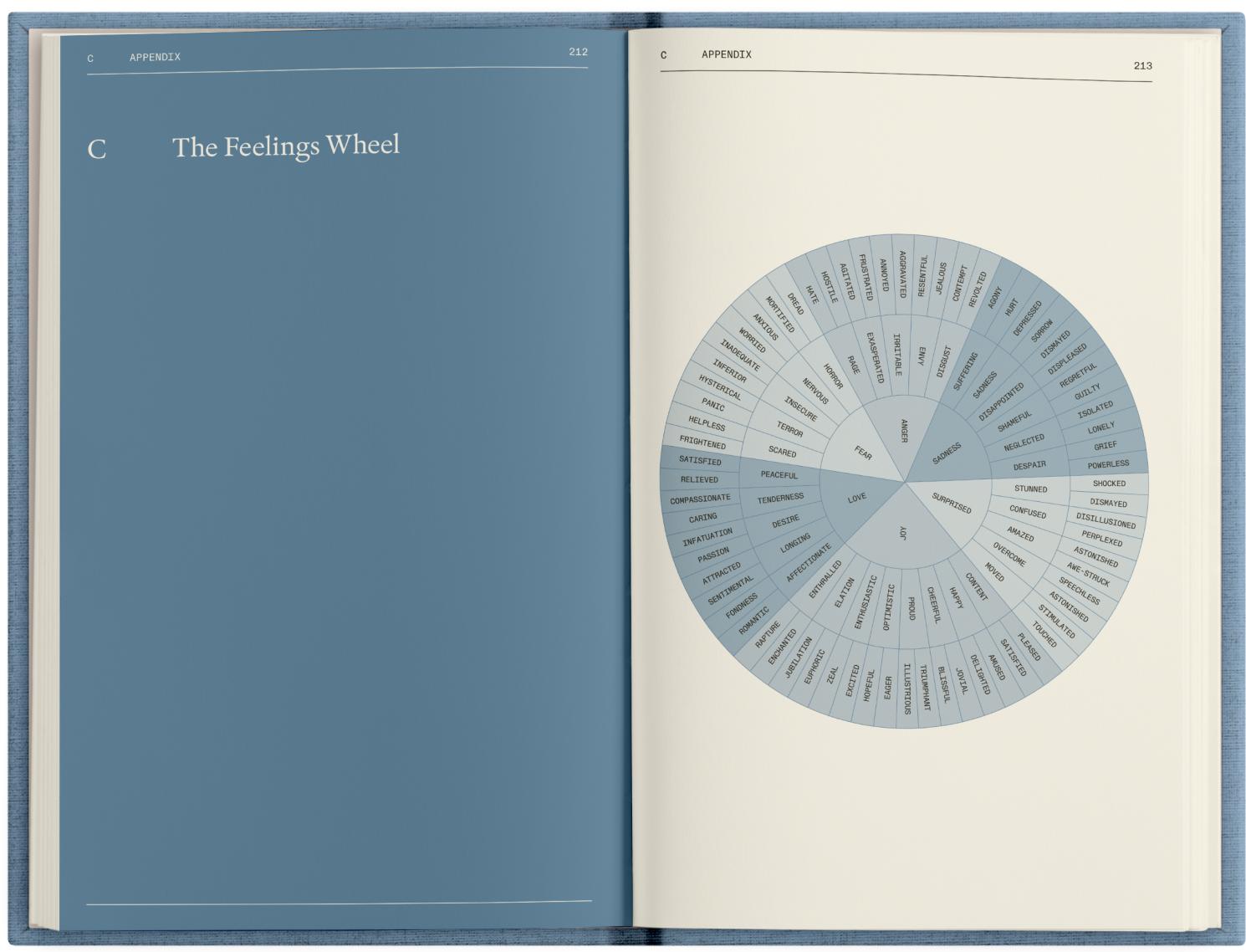 APPENDIX C: The Feelings Wheel