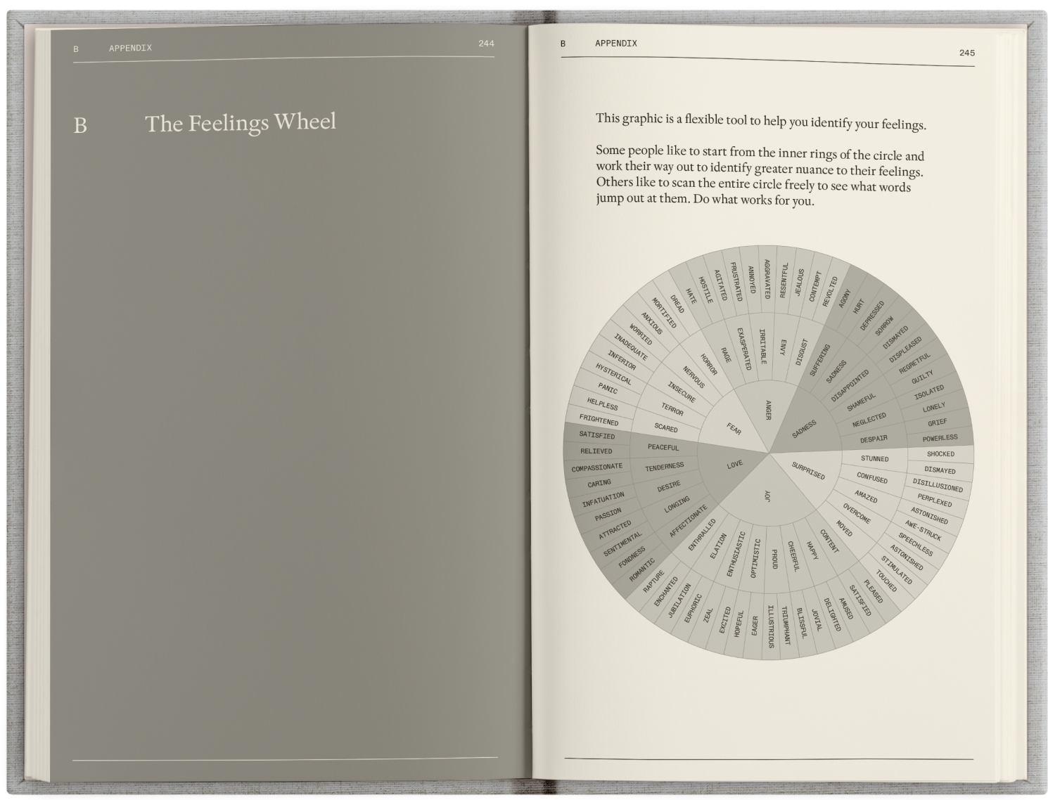 APPENDIX B: Feelings Wheel